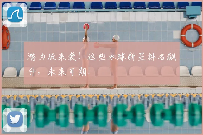 潜力股来袭!这些冰球新星排名飙升,未来可期!